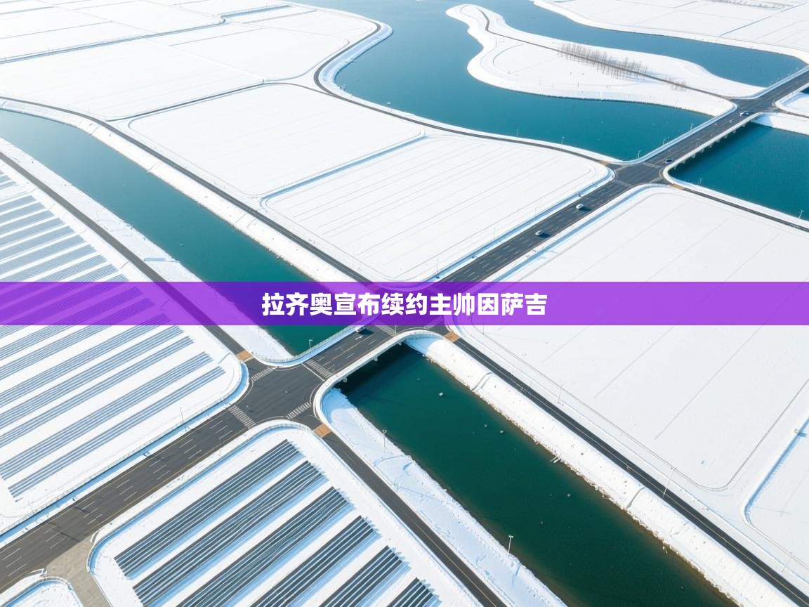 开云APP-拉齐奥宣布续约主帅因萨吉  第1张