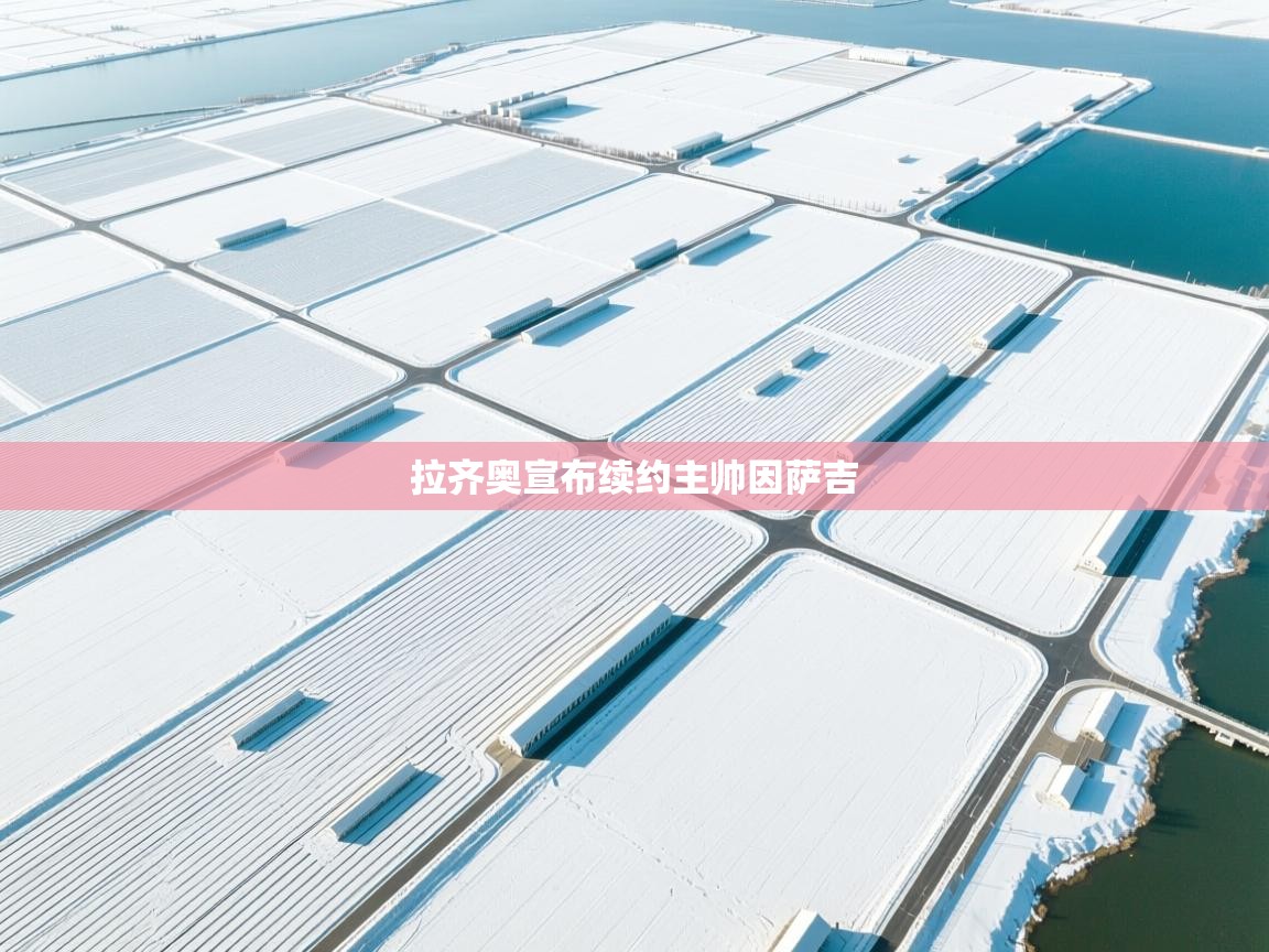 开云APP-拉齐奥宣布续约主帅因萨吉  第3张