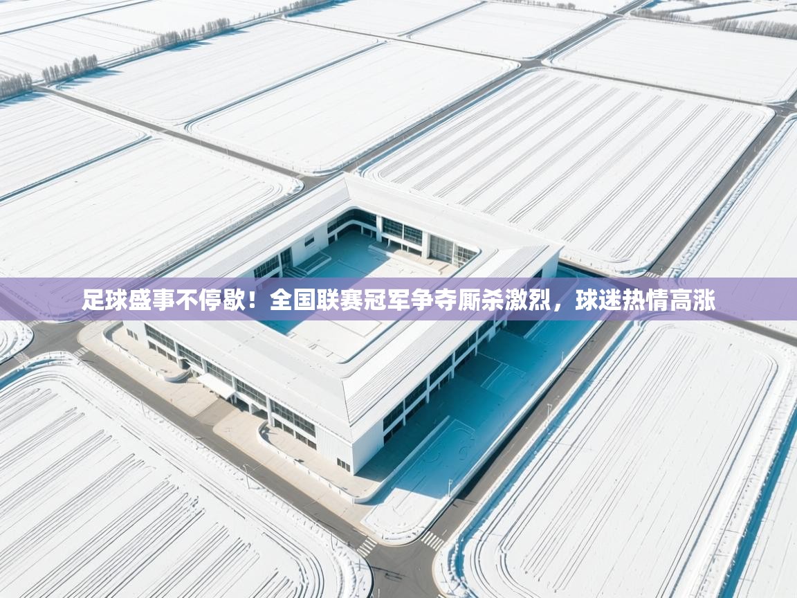 开云体育app下载安卓-足球盛事不停歇！全国联赛冠军争夺厮杀激烈，球迷热情高涨  第1张