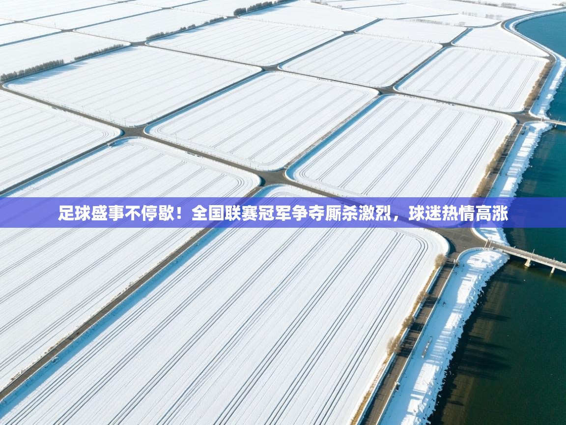 开云体育app下载安卓-足球盛事不停歇！全国联赛冠军争夺厮杀激烈，球迷热情高涨  第2张