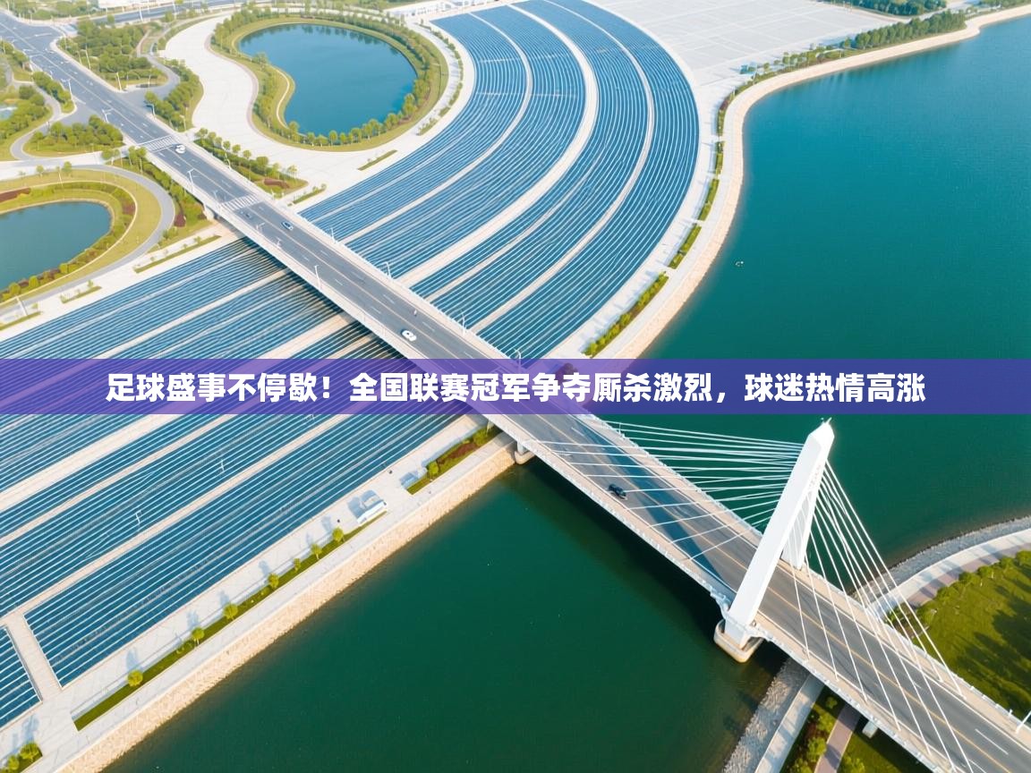 开云体育app下载安卓-足球盛事不停歇！全国联赛冠军争夺厮杀激烈，球迷热情高涨  第4张