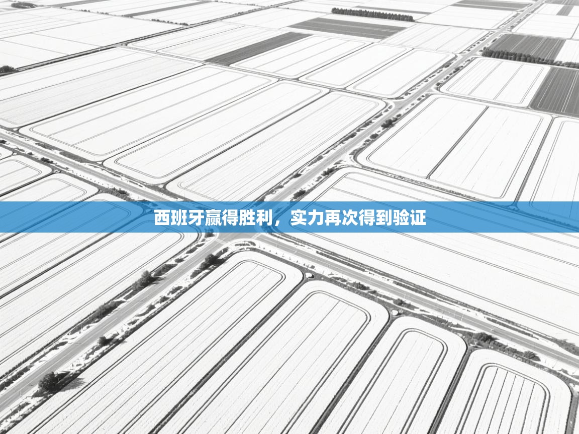 云开体育app网页版入口-西班牙赢得胜利，实力再次得到验证  第1张