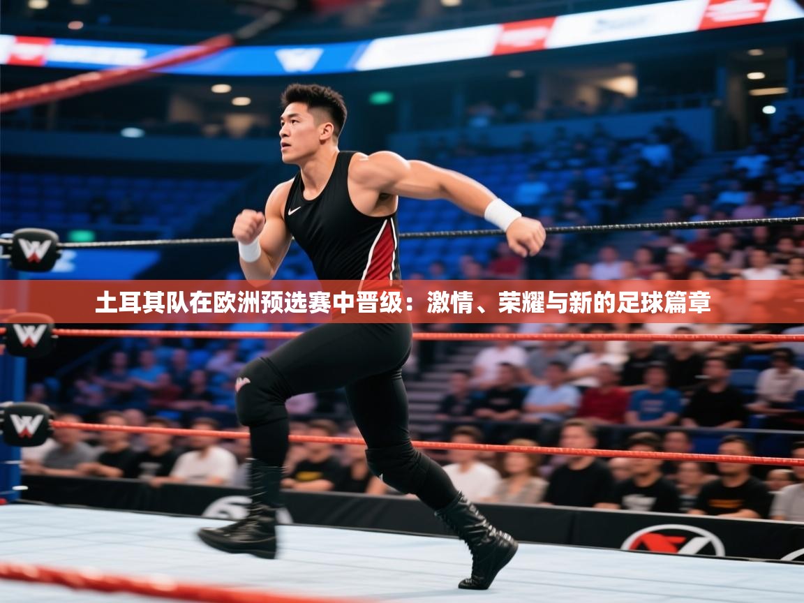 开云体育app官网入口网页版-土耳其队在欧洲预选赛中晋级:激情、荣耀与新的足球篇章 第3张