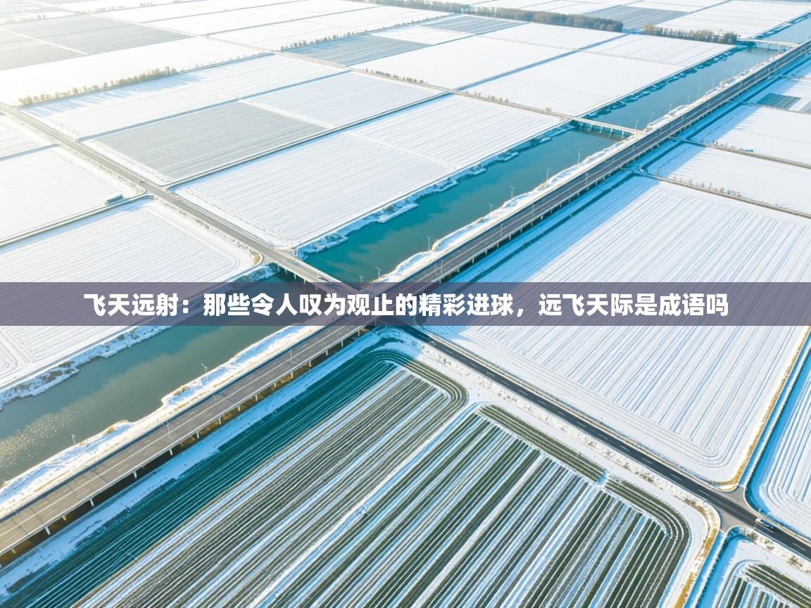 kaiyun开运·体育官方网站-飞天远射:那些令人叹为观止的精彩进球,远飞天际是成语吗 第1张