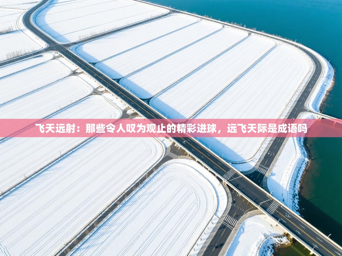 kaiyun开运·体育官方网站-飞天远射:那些令人叹为观止的精彩进球,远飞天际是成语吗 第3张